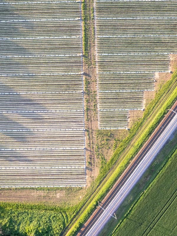 Agro e Fertilizantes